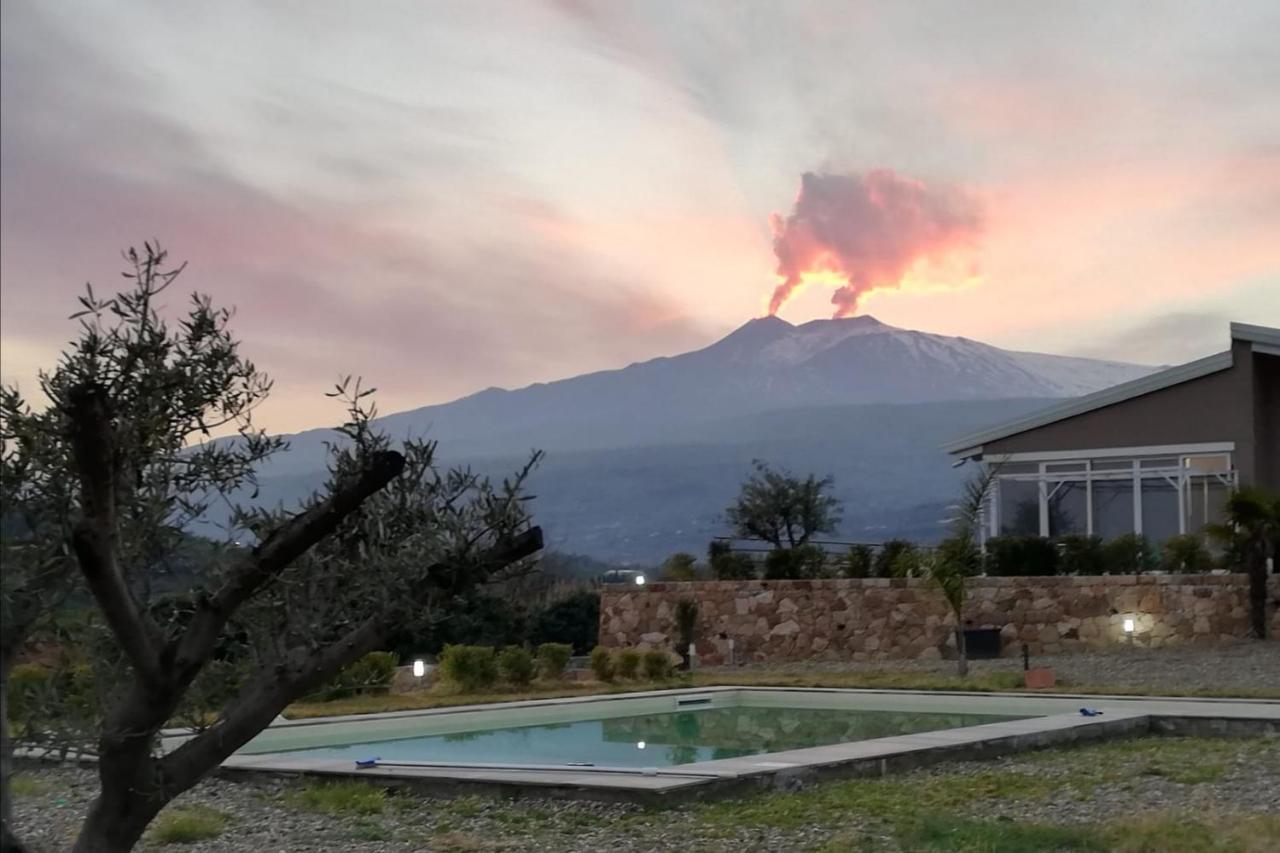 Villa Mida *